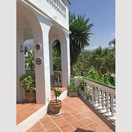 Palmas 15b, Oasis De Capistrano *